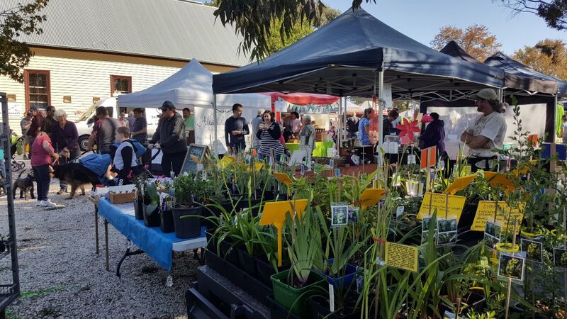Creswick Market