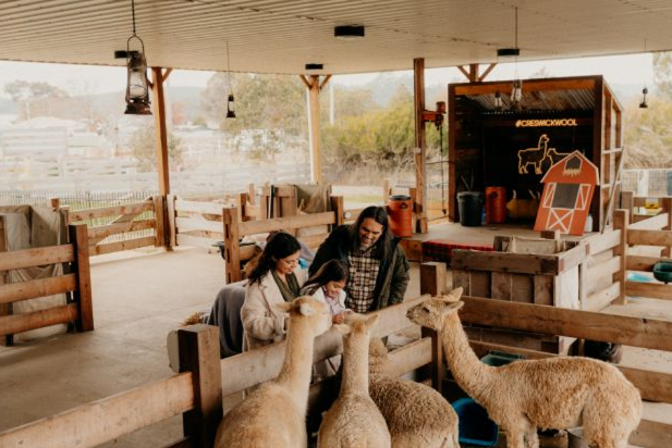Creswick Woollen Mills + Wool Blankets Creswick Woollen Mills + Wool Blankets