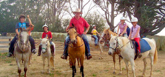 Horse Trail Rides